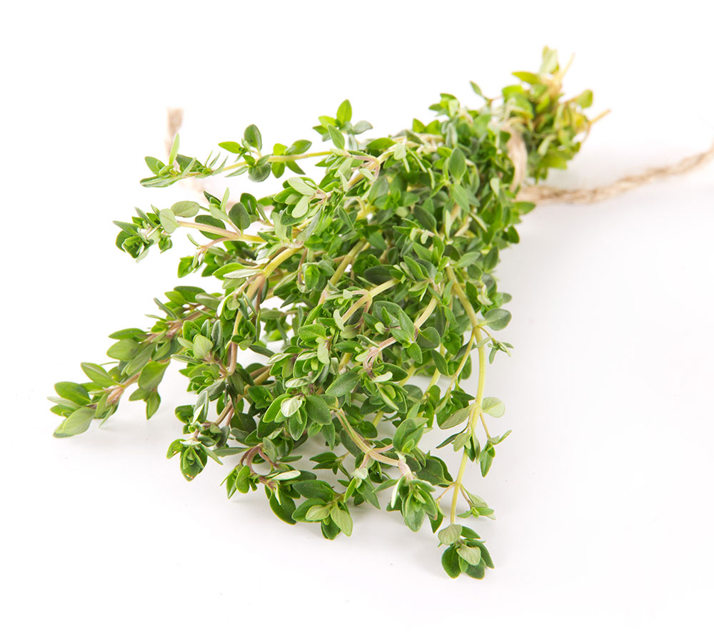thyme out vs thyme out plus